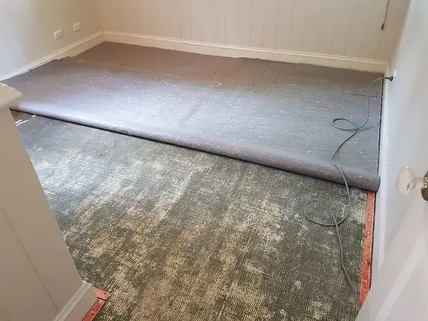 Wet carpet pulled back from the pad for drying in a Flower Mound bedroom