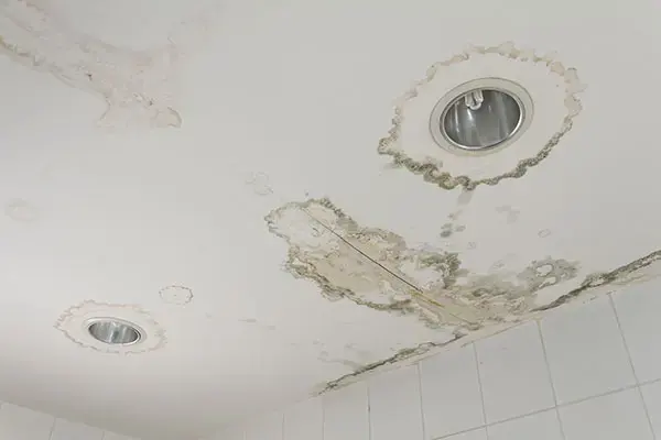 Water stains spreading around recessed lights on a Flower Mound ceiling